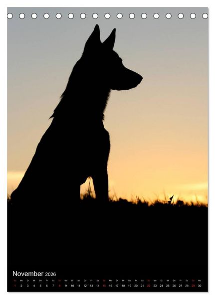 Produktbild: Deutscher Sch&auml;ferhund (Tischkalender 2026 DIN A5 hoch), CALVENDO Monatskalender