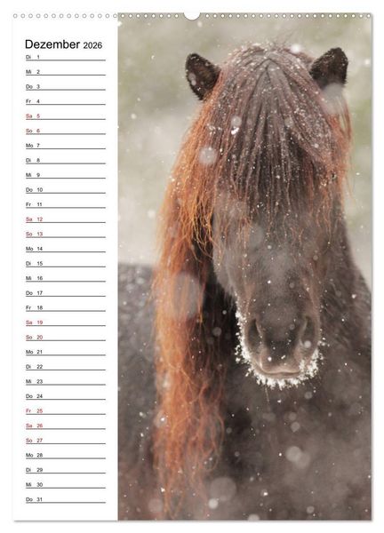 Produktbild: Isl&auml;nder im Portrait (hochwertiger Premium Wandkalender 2026 DIN A2 hoch), Kunstdruck in Hochglanz