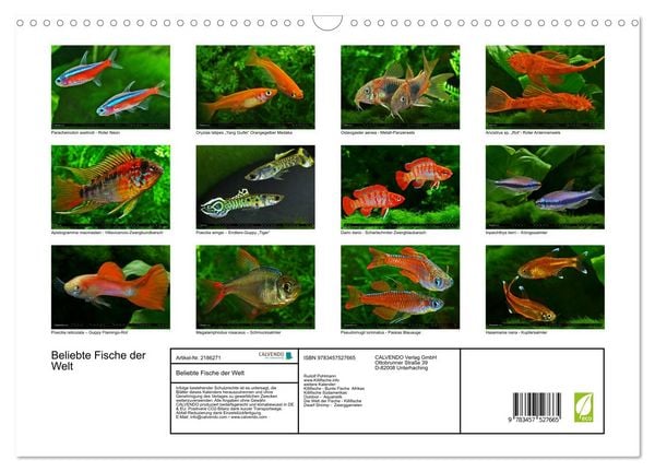 Produktbild: Beliebte Fische der Welt (Wandkalender 2026 DIN A3 quer), CALVENDO Monatskalender
