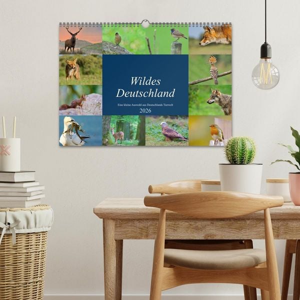Produktbild: Wildes Deutschland (Wandkalender 2026 DIN A3 quer), CALVENDO Monatskalender
