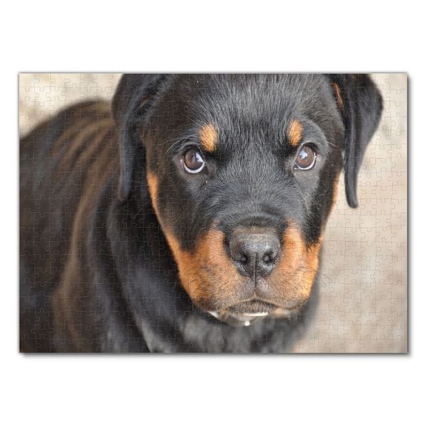 Lais Puzzle 1000 Pezzi - Leone - Giochi Puzzle