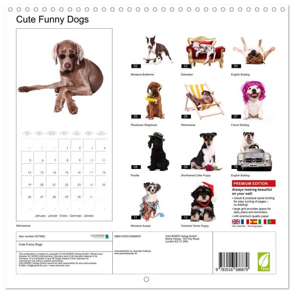 Produktbild: Cute Funny Dogs (Wall Calendar 2026 12 &times; 12 Inch) CALVENDO 12 Month Wall Calendar
