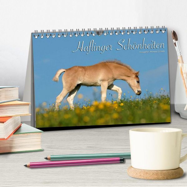 Produktbild: Haflinger Sch&ouml;nheiten (Tischkalender 2027 DIN A5 quer), CALVENDO Monatskalender