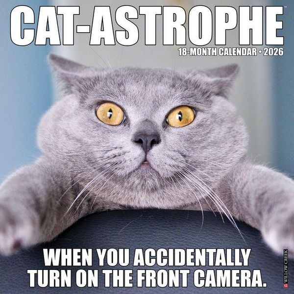 Produktbild: Cat-Astrophe 2026 Wall Calendar