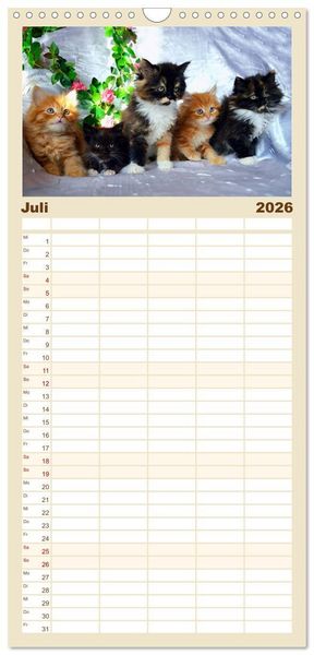 Produktbild: Familienplaner 2026 - Katzenparade mit 5 Spalten (Wandkalender, 21 x 45 cm) CALVENDO