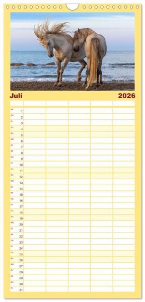 Produktbild: Familienplaner 2026 - Die wei&szlig;en Pferde der Camargue mit 5 Spalten (Wandkalender, 21 x 45 cm) CALVENDO