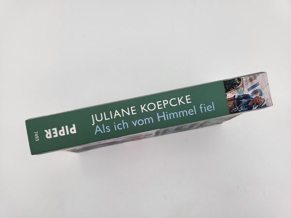 Produktbild: Als ich vom Himmel fiel