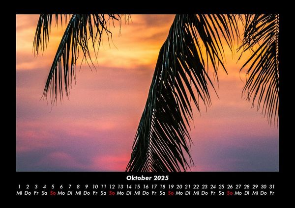 Produktbild: Palmentraum 2025 Fotokalender DIN A3