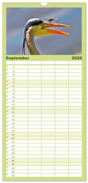 Produktbild: Familienplaner 2026 - Lustig und verr&uuml;ckt - der ganz andere Tierkalender mit 5 Spalten (Wandkalender, 21 x 45 cm) CALVENDO