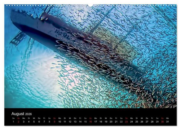 Produktbild: Fischschw&auml;rme (Wandkalender 2026 DIN A2 quer), CALVENDO Monatskalender