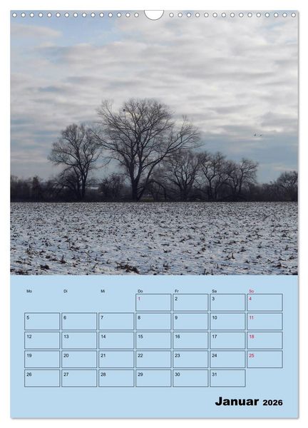 Produktbild: Leinemasch (Wandkalender 2026 DIN A3 hoch), CALVENDO Monatskalender