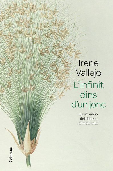 Produktbild: L'infinit dins d'un jonc : La invenci&oacute; dels llibres al m&oacute;n antic