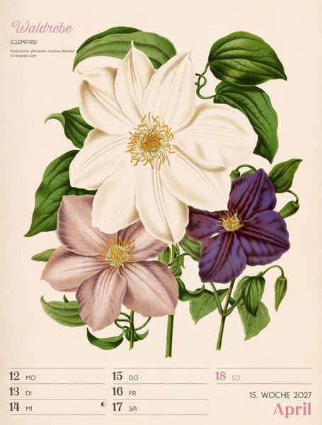 Produktbild: Ars Floralis Wochenplaner Kalender 2027