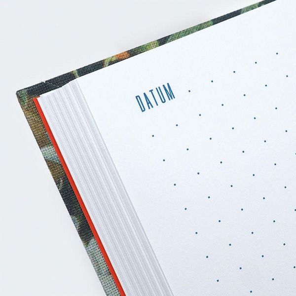 Produktbild: 100 Seiten Leben
