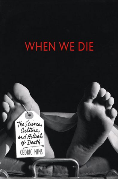 Produktbild: When We Die