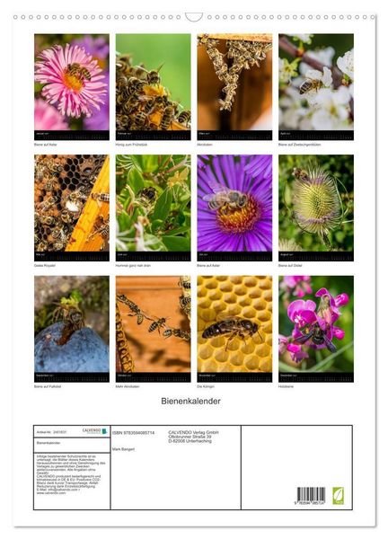 Produktbild: Bienenkalender (Wandkalender 2027 DIN A2 hoch), CALVENDO Monatskalender