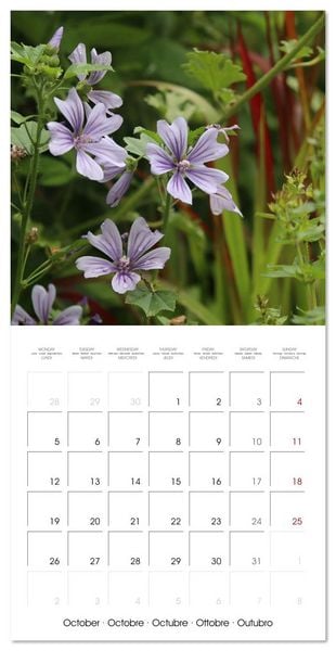 Produktbild: ENCHANTING FLOWERS (Wall Calendar 2026 12 &times; 12 Inch) CALVENDO 12 Month Wall Calendar