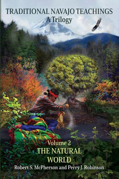 Produktbild: Traditional Navajo Teachings