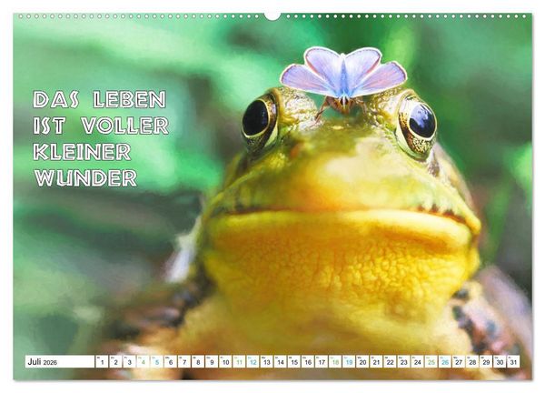 Produktbild: Frosch quakt Spr&uuml;che (hochwertiger Premium Wandkalender 2026 DIN A2 quer), Kunstdruck in Hochglanz