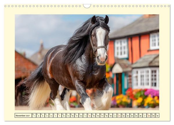 Produktbild: Shire Horse Zauber. Englands elegante Riesen (Wandkalender 2027 DIN A3 quer), CALVENDO Monatskalender