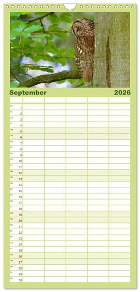 Produktbild: Familienplaner 2026 - geliebte Waldgeister mit 5 Spalten (Wandkalender, 21 x 45 cm) CALVENDO