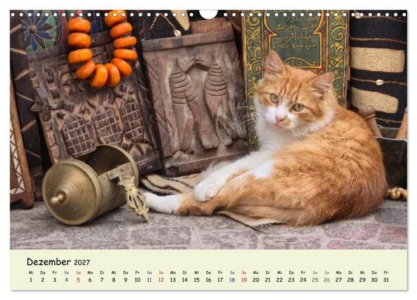 Produktbild: MarokkoCats (Wandkalender 2027 DIN A3 quer), CALVENDO Monatskalender