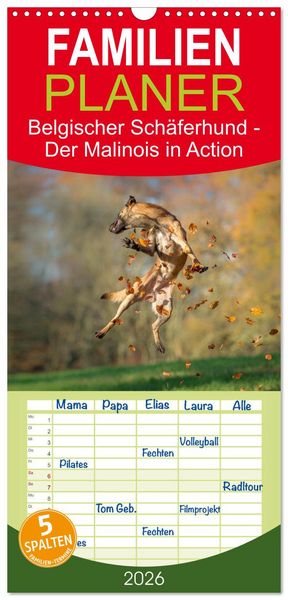 Produktbild: Familienplaner 2026 - Belgischer Sch&auml;ferhund - Der Malinois in Action mit 5 Spalten (Wandkalender, 21 x 45 cm) CALVENDO