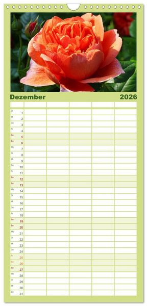 Produktbild: Familienplaner 2026 - Rosen Reigen im Garten mit 5 Spalten (Wandkalender, 21 x 45 cm) CALVENDO