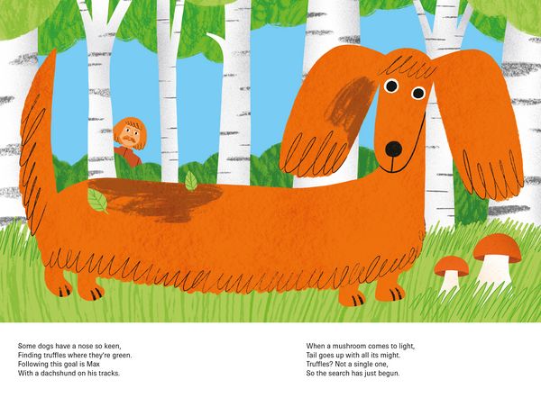 Produktbild: The Most Colorful Dog Walk