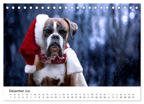 Produktbild: Deutscher Boxer (Tischkalender 2026 DIN A5 quer), CALVENDO Monatskalender