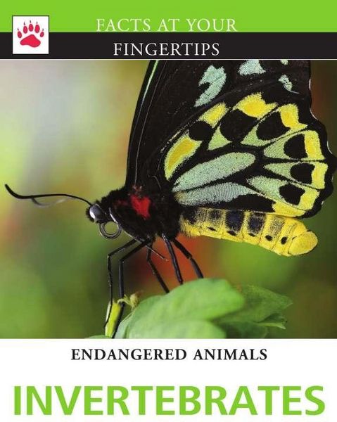 Produktbild: Invertebrates