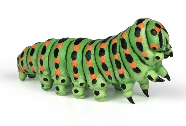 Produktbild: Spielfigur Raupe 5cm