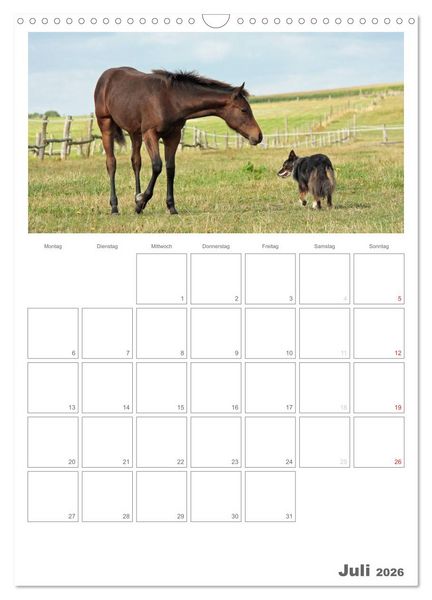 Produktbild: Fohlen und Jungpferde (Wandkalender 2026 DIN A3 hoch), CALVENDO Monatskalender