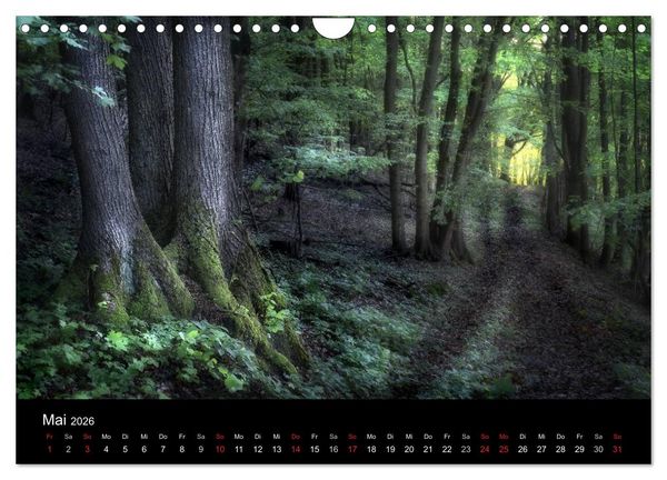 Produktbild: Waldkalender (Wandkalender 2026 DIN A4 quer), CALVENDO Monatskalender