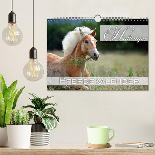Produktbild: Haflinger / Geburtstagskalender (Wandkalender 2026 DIN A4 quer), CALVENDO Monatskalender