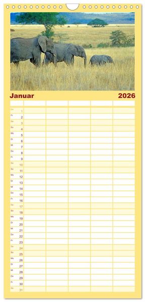 Produktbild: Familienplaner 2026 - Elefanten in der Serengeti mit 5 Spalten (Wandkalender, 21 x 45 cm) CALVENDO