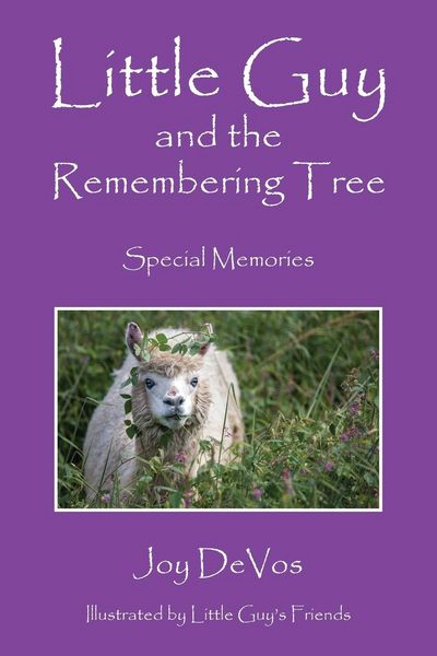 Produktbild: Little Guy and the Remembering Tree