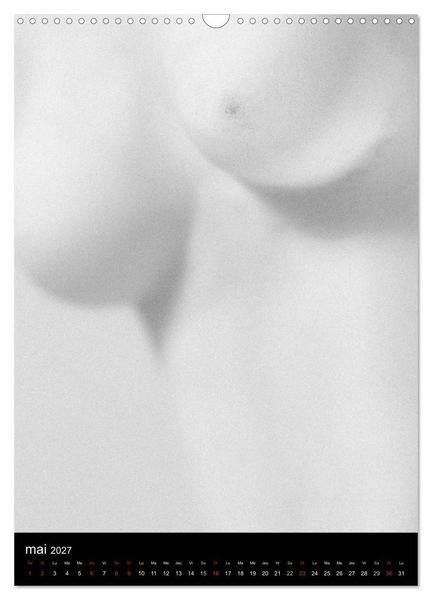 Produktbild: F&eacute;minit&eacute; (Calendrier mural 2027 DIN A3 horizontal), CALVENDO calendrier mensuel