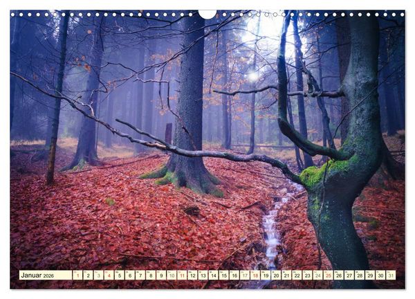 Produktbild: Mystische W&auml;lder - Zauber der Natur (Wandkalender 2026 DIN A3 quer), CALVENDO Monatskalender