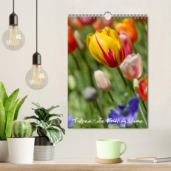 Produktbild: Tulpen - die Fr&uuml;hlingsblume (Wandkalender 2026 DIN A4 hoch), CALVENDO Monatskalender