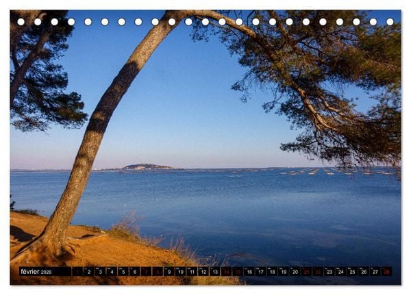 Produktbild: R&ecirc;veries en M&eacute;diterran&eacute;e (Calendrier de bureau 2026 DIN A5 vertical), CALVENDO calendrier mensuel