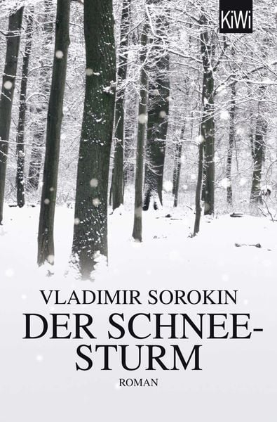 Produktbild: Der Schneesturm