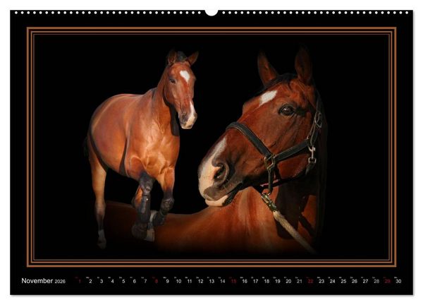Produktbild: Traumpferde-ART-Collection (Wandkalender 2026 DIN A2 quer), CALVENDO Monatskalender