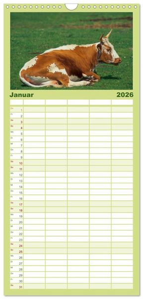 Produktbild: Familienplaner 2026 - Rinder auf dem Lande mit 5 Spalten (Wandkalender, 21 x 45 cm) CALVENDO