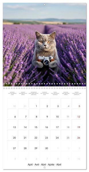 Produktbild: Le duc gris en voyage (Calendrier mural carr&eacute; 2026 30x30 cm) Calendrier double avec une page pour vos prises de notes