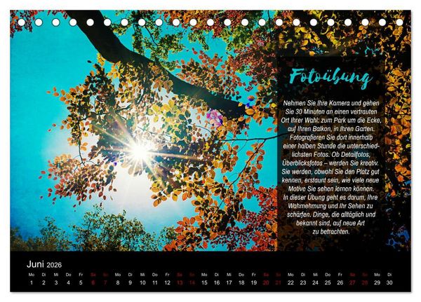 Produktbild: Die Sch&ouml;nheit der Natur - Naturfotografie-Kalender mit Foto- und Kreativ&uuml;bungen (Tischkalender 2026 DIN A5 quer), CALVENDO Monatskalender
