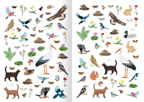 Produktbild: Mein Natur-Stickerbuch