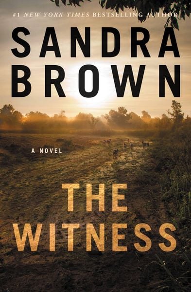 Produktbild: The Witness