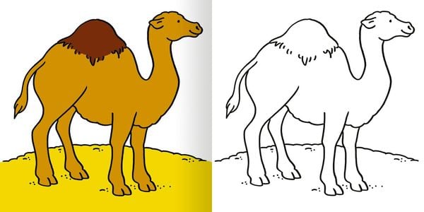 Produktbild: Mein erstes dickes Malbuch ab 2 &ndash; Zoo
