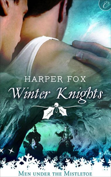 Produktbild: Winter Knights